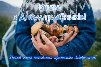 з днем грибника привітання