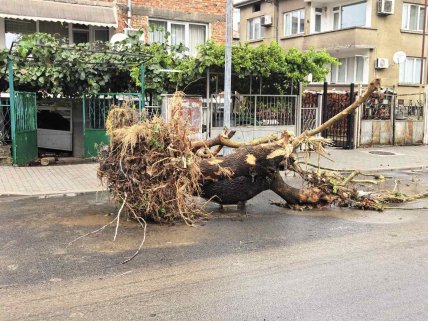 Потоп у Болгарії