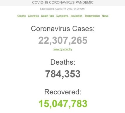 Статистика коронавируса на 19.08.2020
