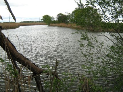 Єфремівський гідрологічний заказник