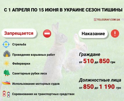 инфографик