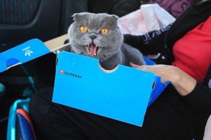 Центр в Запорожье для внутренне перемещенных лиц