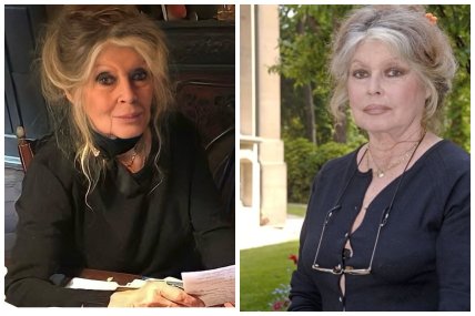 Как сейчас выглядит актриса Брижит Бардо