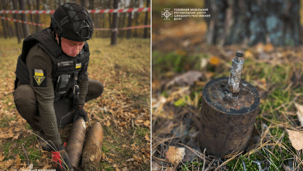 Фото як виглядають міни та боєприпаси у осінньому листі