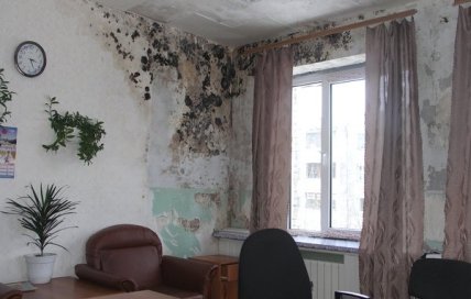 Пліснява в кімнаті
