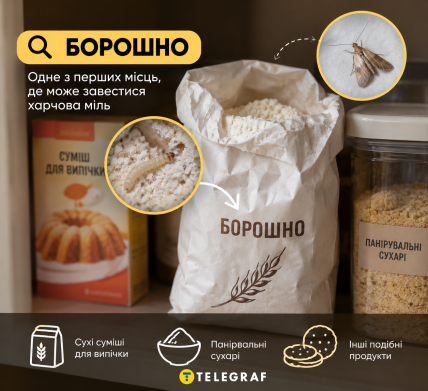 Борошно та суміші для випічки. Інфографіка: ШІ "Телеграф"