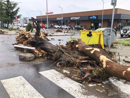 Потоп у Болгарії