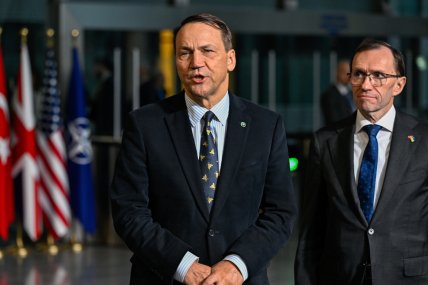 Радослав Сікорський та Еспен Барт Ейде. Фото Getty Images