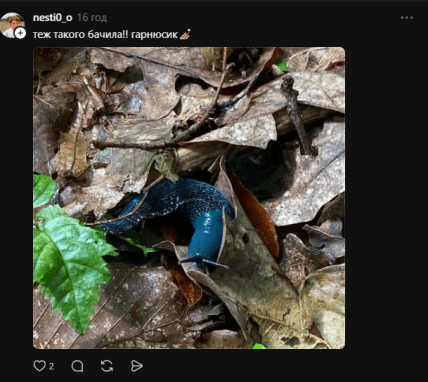 Коментарі в соцмережі Threads