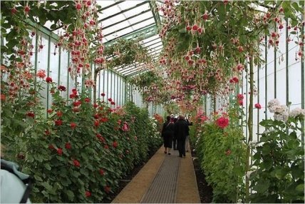 Единственный экземпляр