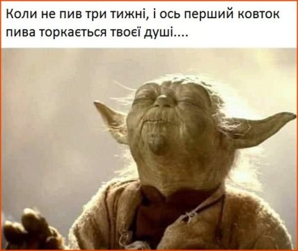 день пива приколы