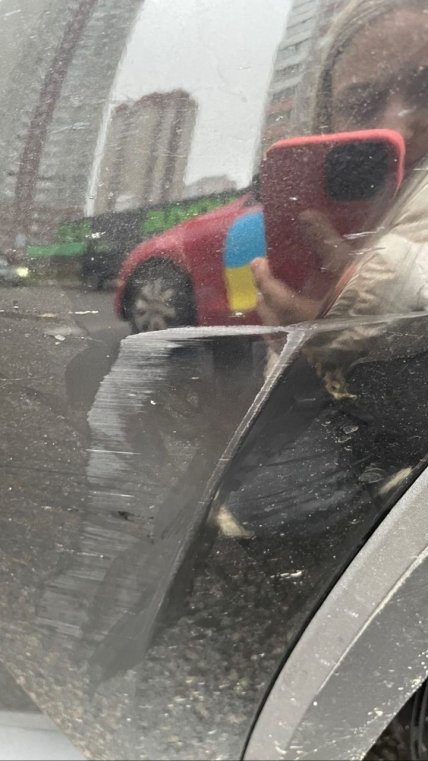 катерина павлик репеховая