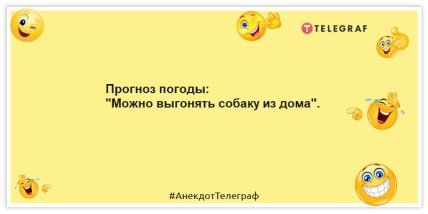 Анекдоты про погоду - Прогноз погоды: "Можно выгонять собаку из дома".