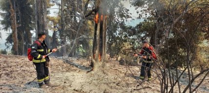 Украинские пожарные в Греции