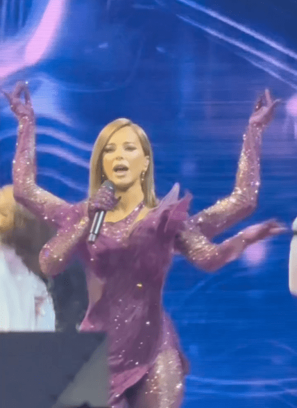 Ані Лорак стала посміховиськом