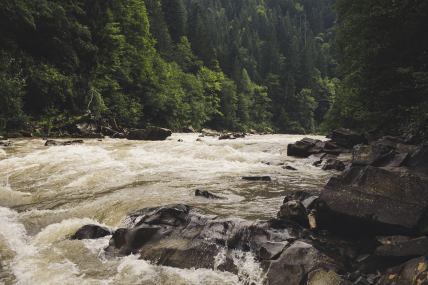 Чорний Черемош