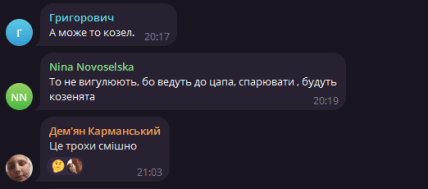 Комментарии под видео