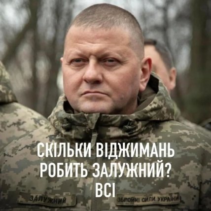 валерий залужный