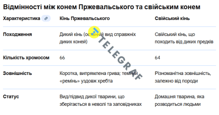 Відмінності між конем Пржевальського та свійським конем