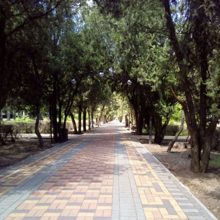 Скадовск сезон 2022