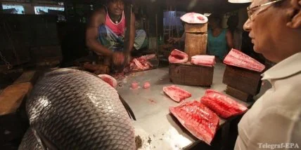 Морская рыба поможет ребенку в учебе