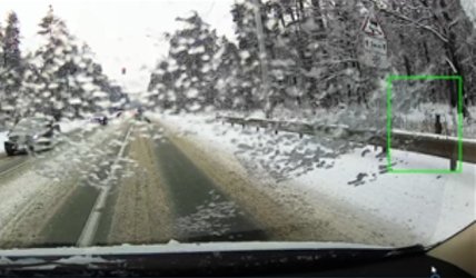 Под Киевом заметили оленя