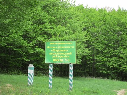Источник Теребеж расположен в селе Яр Винницкой области