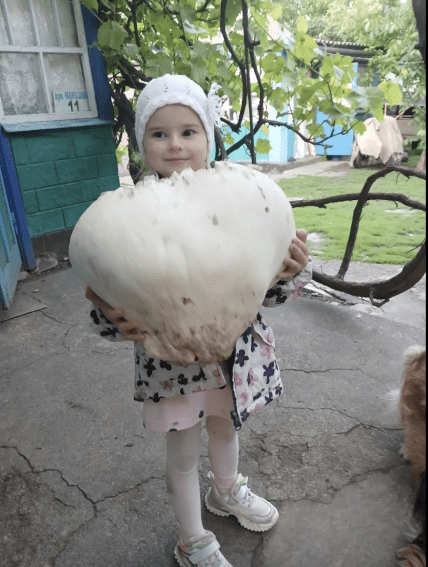 Украинка нашла огромный гриб