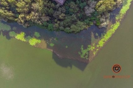 В Киеве цветет Днепр 7.07.2020