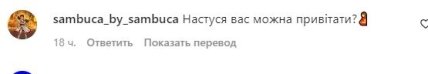 Коментарі про Настю Каменських