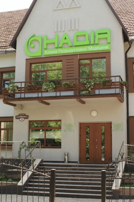 Первые пять дней жизни под микроскопом - изображение №2