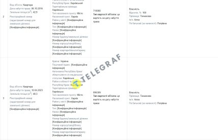 Декларація Алли Токмакової