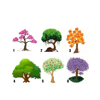 Визуальный тест