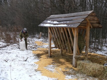 харчування для диких тварин