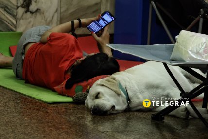 Собака в метро во время тревоги