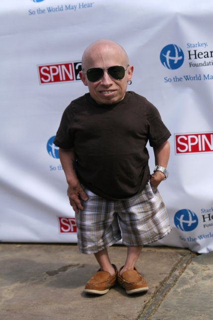 Комик Верн Тройер