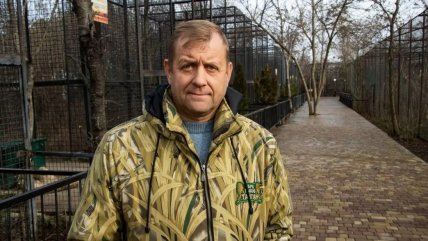 Коллаборант Олег Зубков