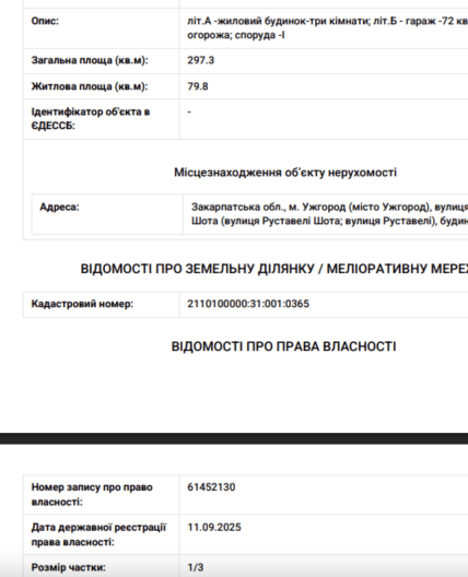 Декларація Василя Пупени