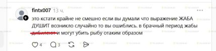 У Threads есть видео, где лягушка сидит на голове рыбы – реакция комментариев