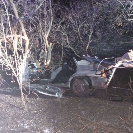 Под Белой Церковью ВАЗ влетел в дерево, погиб подросток