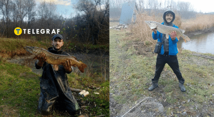Где поймали две щуки весом более 4 кило