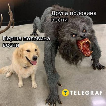 Меми про негоду в Україні