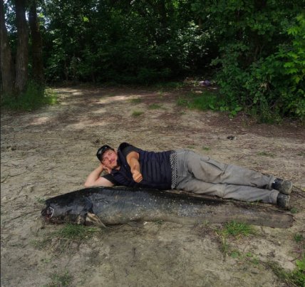 Сом 2-метровый