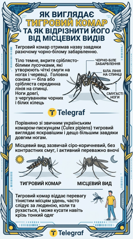 Тигровий комар