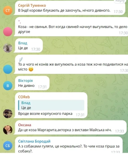 Користувачка назвала козу Маргаритою з вистави