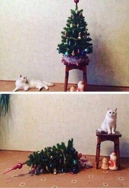 кот опрокинул елку прикол