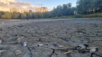 В таком состоянии водоем находился с лета этого года. Сейчас под снегом следов обмеления не видно
