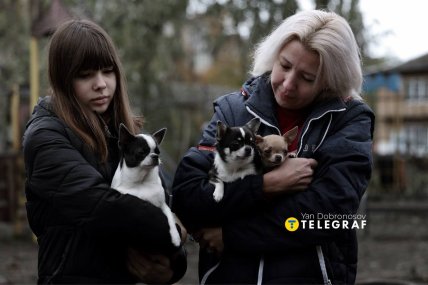 Господарки рятують своїх улюбленців після обстрілу /Ян Доброносов, "Телеграф"