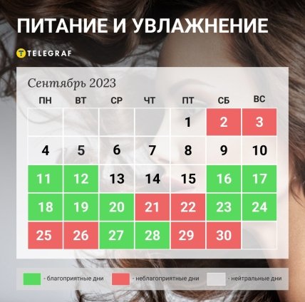 Питание  и увлажнение волос