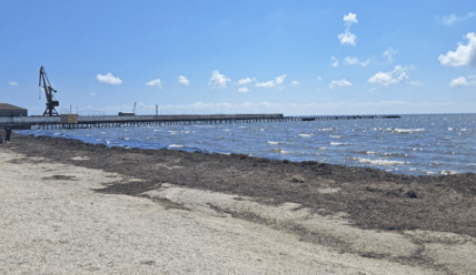 Скадовськ в окупації зараз